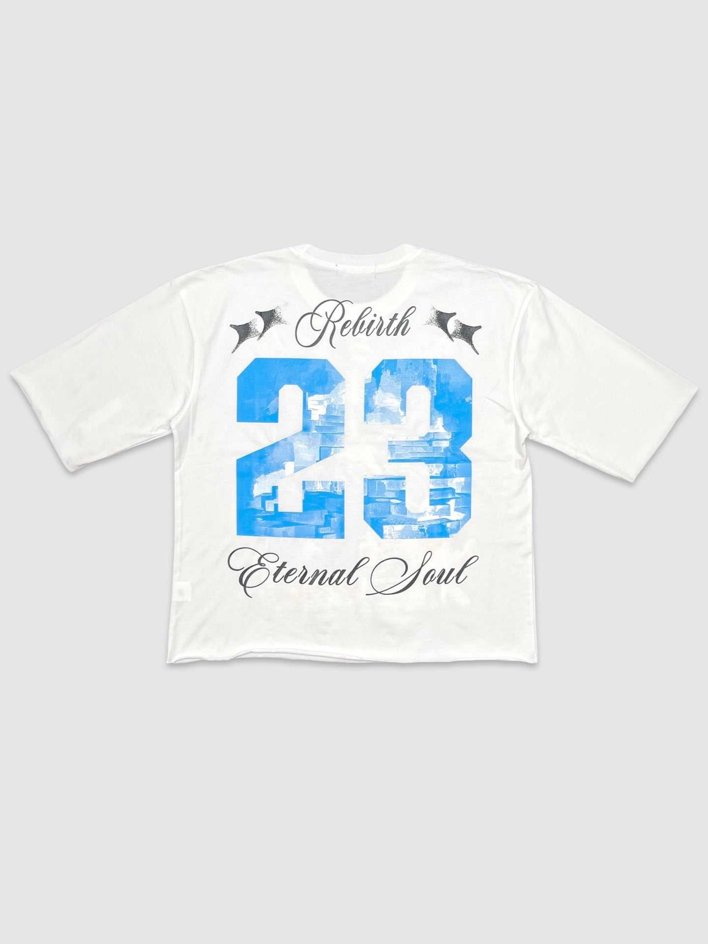 3FTY-A89C-Eternal Rebirth Crop Tee (Copy) (Copy) - Pioneer Apparel